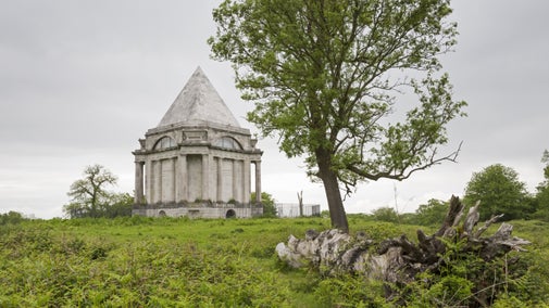 A view of the mausoleum at Cobham Wood and Mausoleum with a tree and deadwood in the foreground and the dramatic mausoleum designed by James Wyatt in the background.